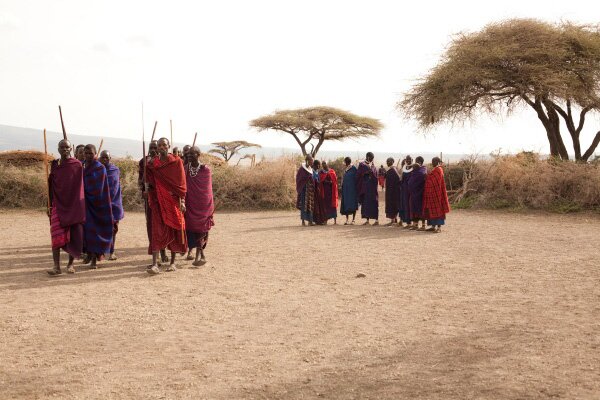 animals serengeti, Serengeti, animals, Африка, Диви животни, резерват, парк, Olduvai Gorge, Olduvai Gorge, Serengeti Animals