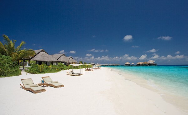 COCO PALM BODU HITHI