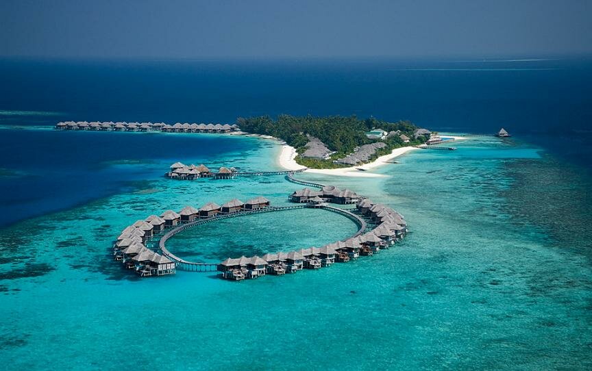 COCO PALM BODU HITHI