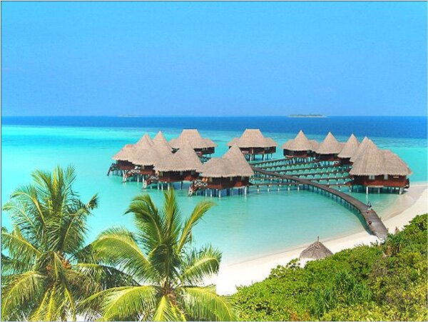 COCO PALM BODU HITHI