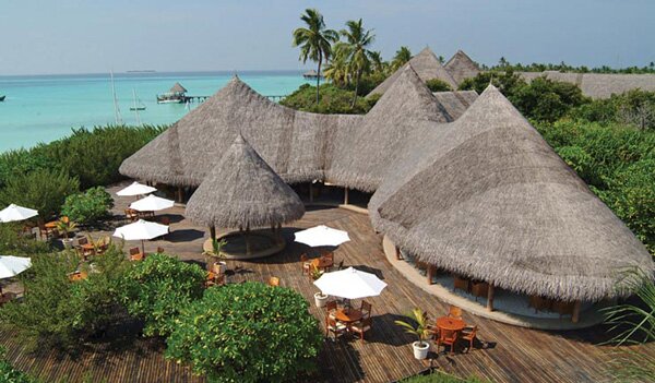 COCO PALM BODU HITHI