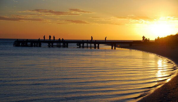 Манки Миа - близо до делфините (Monkey Mia) 