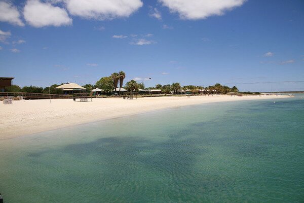 Манки Миа - близо до делфините (Monkey Mia) 