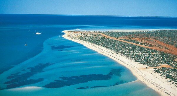 Манки Миа - близо до делфините (Monkey Mia) 