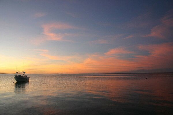 Манки Миа - близо до делфините (Monkey Mia) 