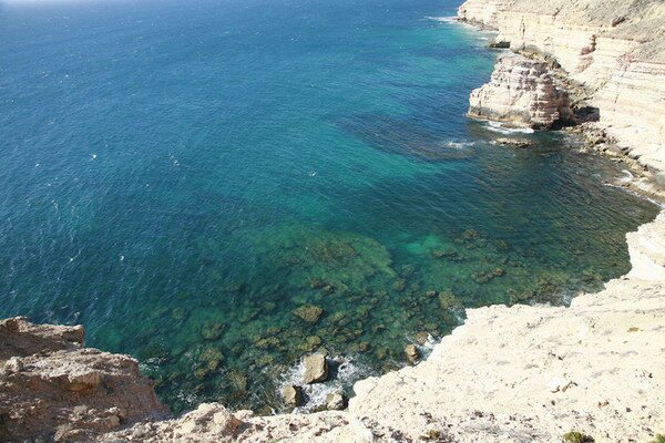 Манки Миа - близо до делфините (Monkey Mia) 