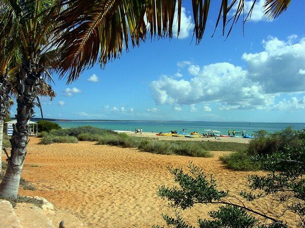 Манки Миа - близо до делфините (Monkey Mia) 